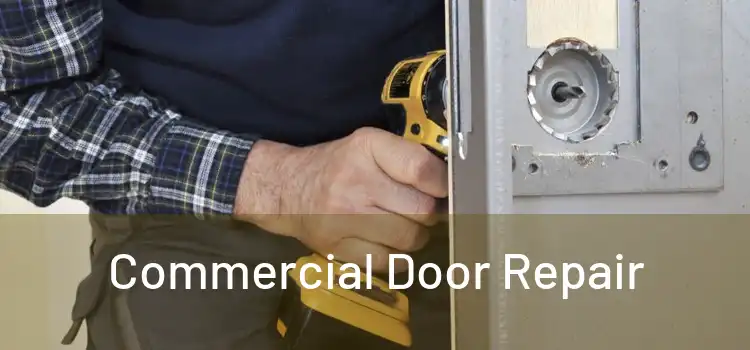 Commercial Door Repair