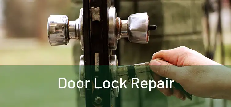 Door Lock Repair
